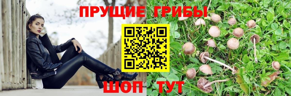 Верхняя Пышма  Псилоцибиновые грибы мицелий  Вход с VPN 
